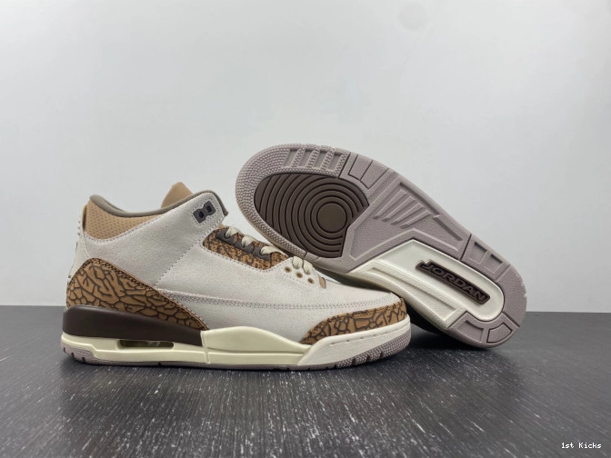 CT8532-102 Jordan Air Palomino 3 0816